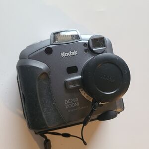 Kodak DC290 Zoom Digital Camera - Silver